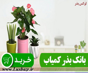 http://www.luxbazr.ir
