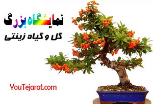 https://www.youtejarat.com/sellerlink.aspx?user_name=bazrkhoneh&k=S
