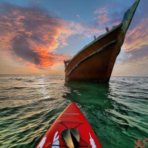 پدل برد پویانیز مدل CRUISER race