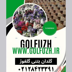 فلاورباکس بتنی گلفوژ