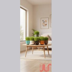 تولید کننده انواع گلدان پلاستیکی گرد مشکی + فروش عمده