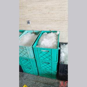 سبد حمل ماهی و میگو  باسکت ماهی