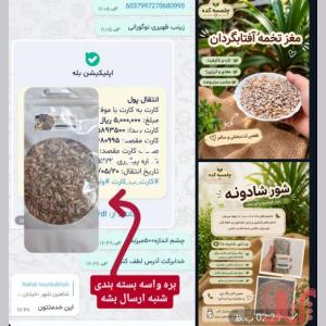 آجیل وخشکبارتنقلات سالم