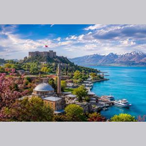 تور گروهی وان ویژه کنسرت